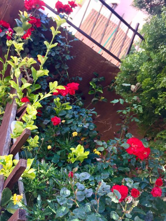 B&B Limone San Leone Exteriör bild
